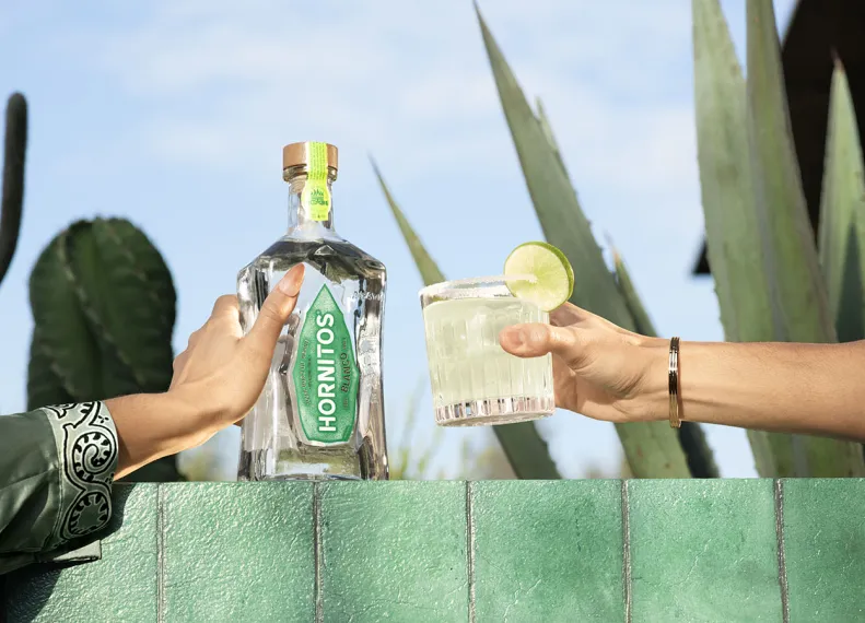 What is tequila made of header image