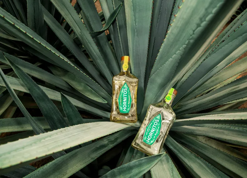 Exploring the different types of Tequila