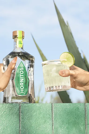 What is tequila made of header image