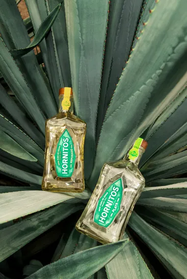 Exploring the different types of Tequila